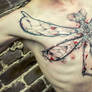 Dradonfly Last Session1