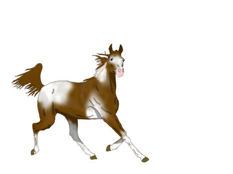 Horse 3