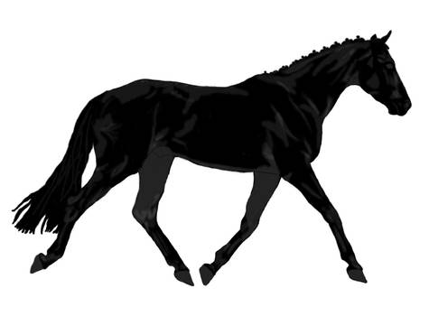 A DV horse