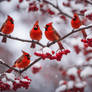 Winter Cardinals 