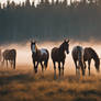 Wild horses 6