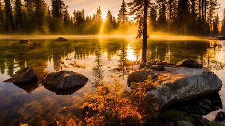 Sunrise at a Forest Lake