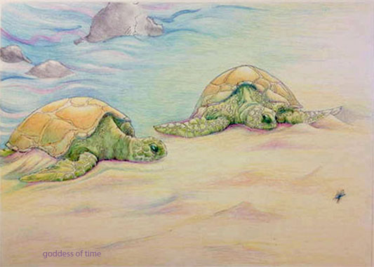 Sea Turtles