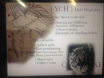 YCH || Masculine head shots