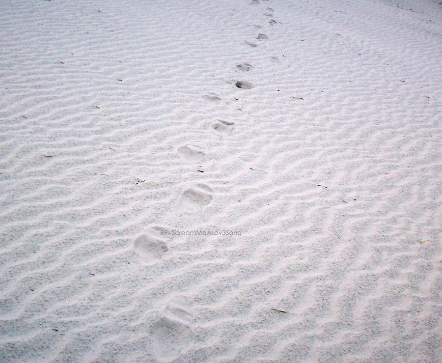 Forgotten Footprints :Poem: by ScreamMeALov3Song on DeviantArt