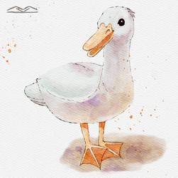 Following tutorial: How to draw a watercolor duck