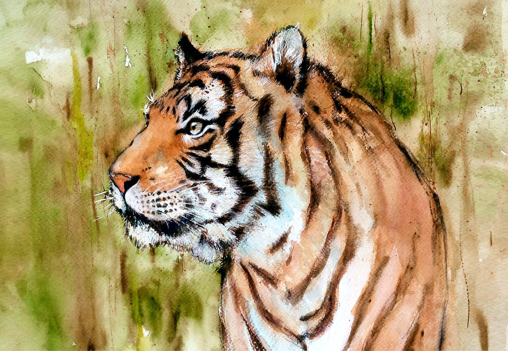 Malayan Tiger 2 by young920