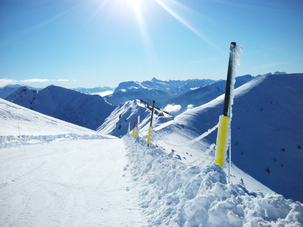 Dans les Alpes avec Annette