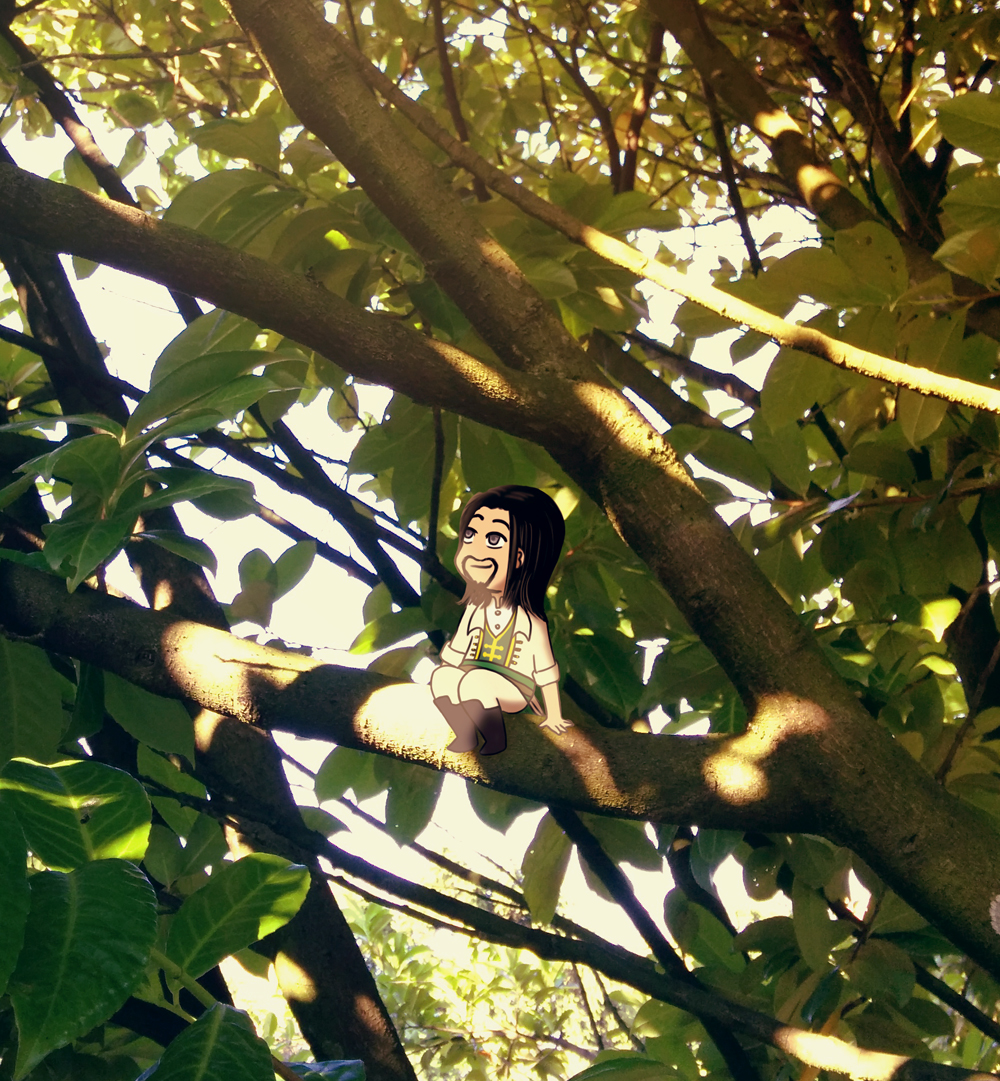 Renardo in a tree