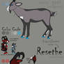 Zavebe / Resethe Reference Sheet