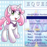 Character Card : Marshmallow