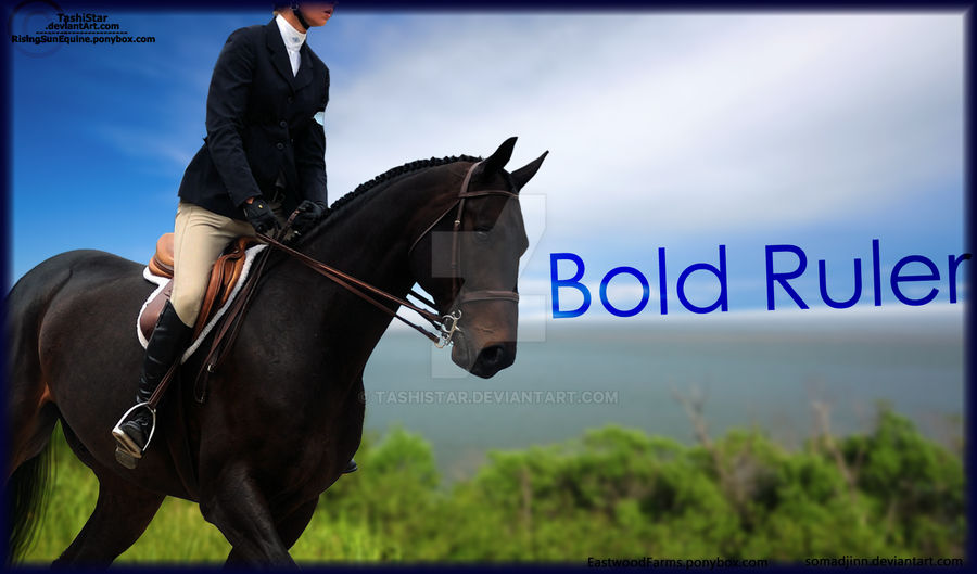 Bold Ruler by TashiStar on DeviantArt