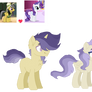 Crackship adopt closed