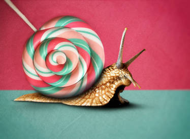 Candy Snail