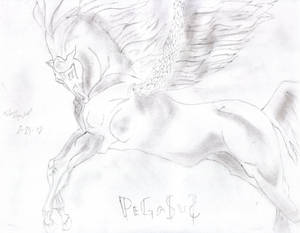 Pegasus