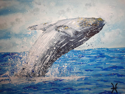 whale watercolor