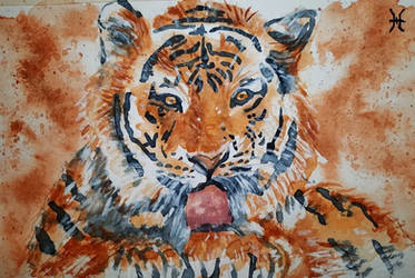 tiger watercolor practice