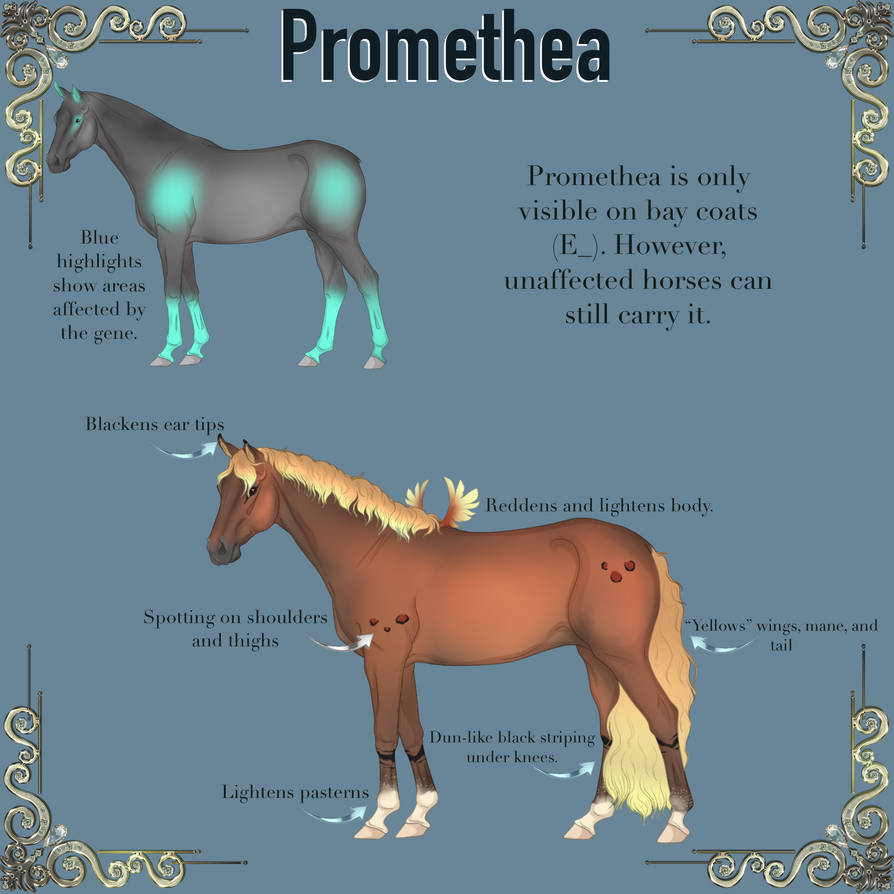 Promenthea Promethea by Adelidae-Admin on DeviantArt
