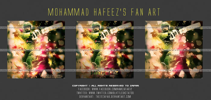 Mohammad Hafeez's Fan Art Display