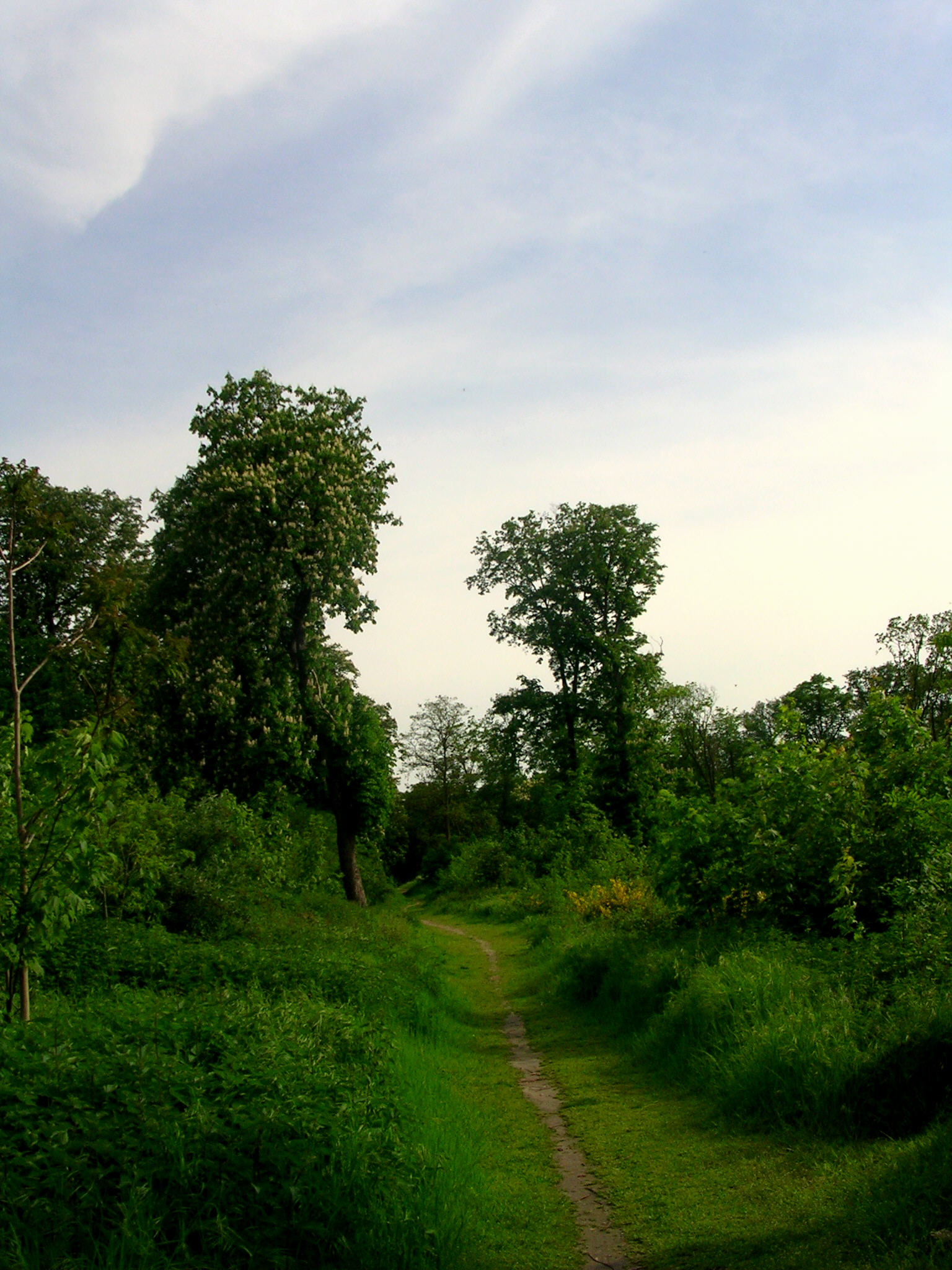 This path leads to dreams.