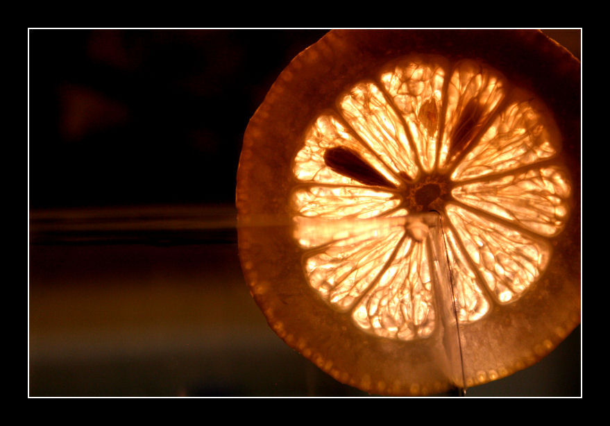 Cross Section of the Sun by Gromitsend Cross Section of the Sun by Gromitsend