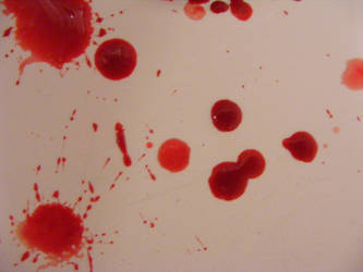 Blood spatter 4