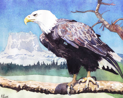 Eagle Overlooking Chief Mountain