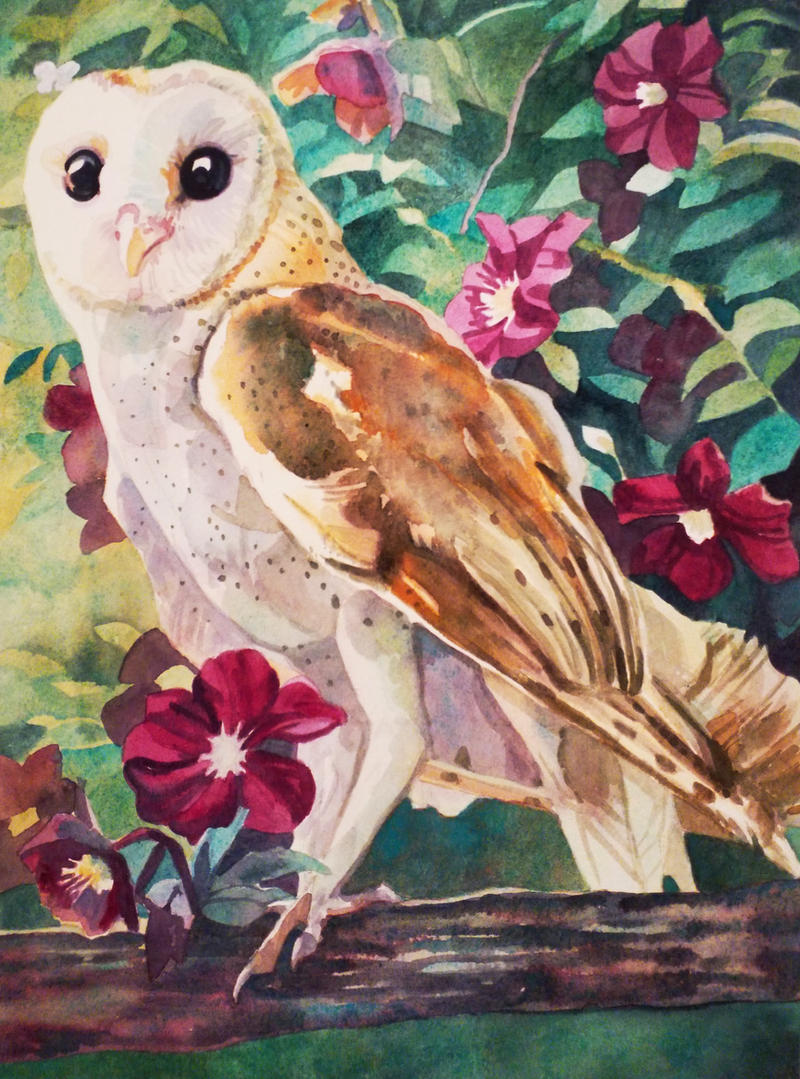 Owl and Lenten Roses