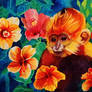 Baby Monkey in the Hibiscus