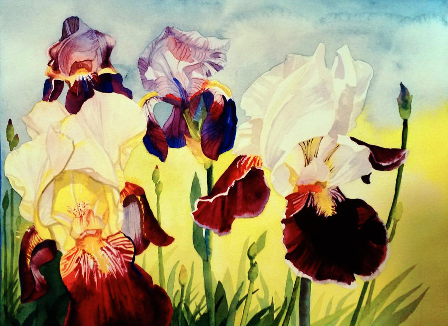 Iris Quartet