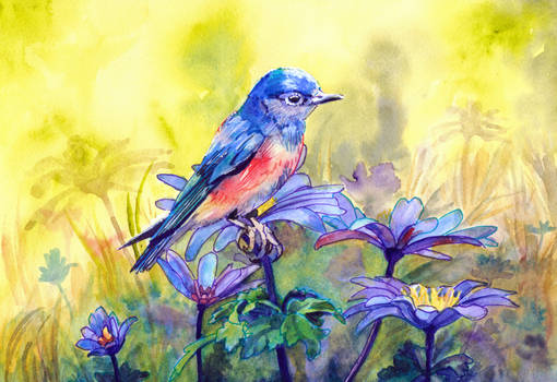 Bluebird and Windflowers