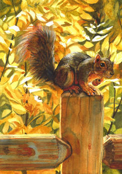 Squirrel With Golden Leaves