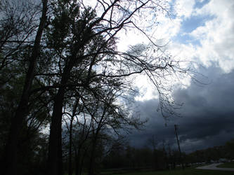 Dramatic Sky and Reaching Branches