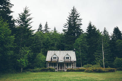 Forest Cottage