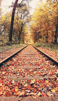 autumn track