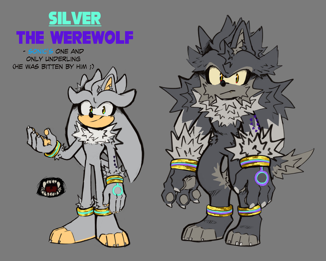Wewhog Silver ref for my Werehog AU by EloahOliveira on DeviantArt