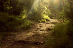 the path by mini---MIR