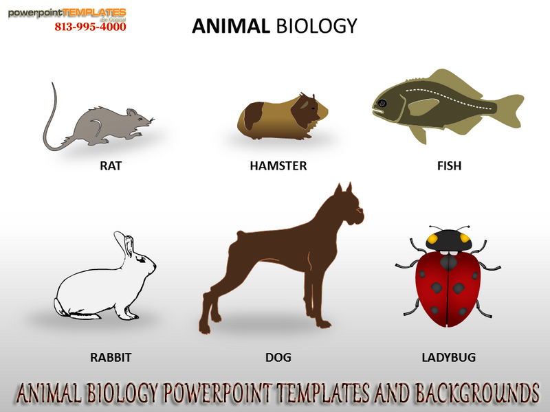 Animal Biology PowerPoint Templates and Background by ...
