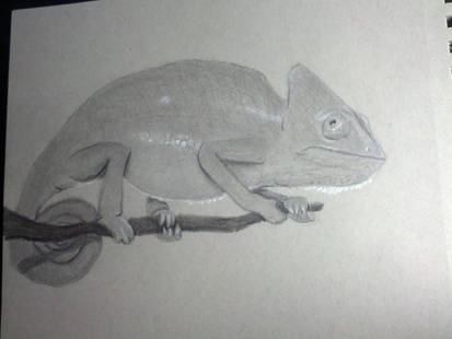 Daily Drawing #3: Chameleon!