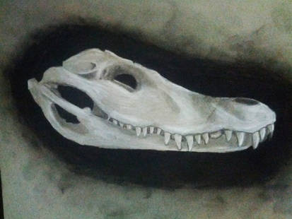 Daily Drawing #4: Caiman skull