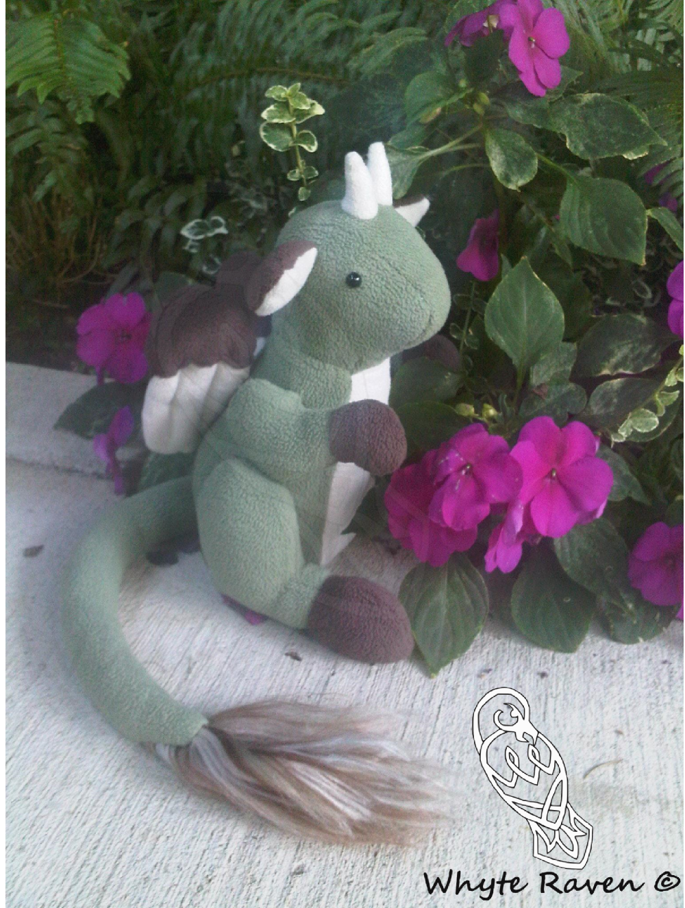 Green Dragon Critter Looking for a new home