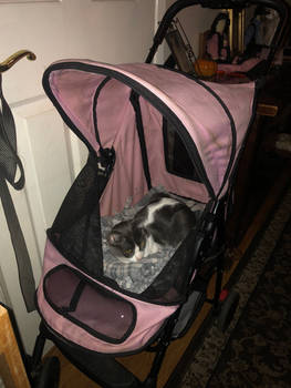 Archimedes In A Stroller