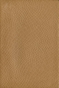 Paper Texture 003