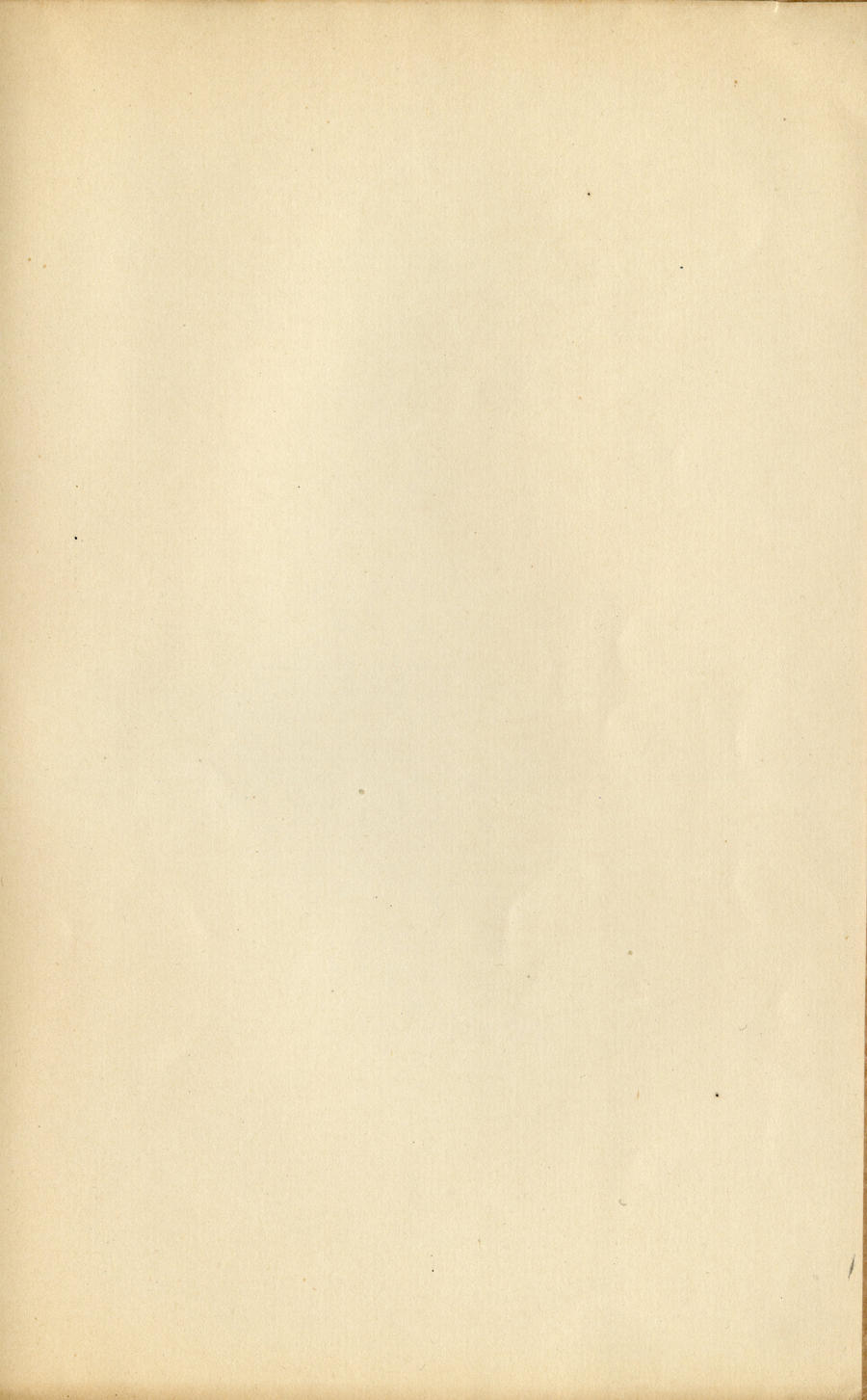 Paper Texture 004 by LisaGorska on DeviantArt