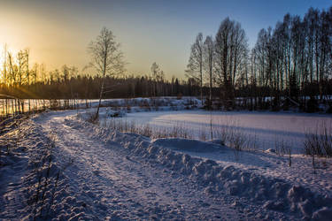 Evening Walk