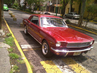 American Muscle