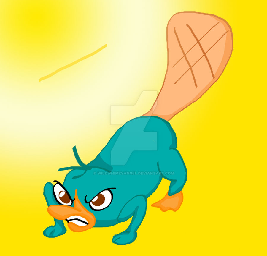 Angry Perry Angry Perry by WildWhimzyAngel on DeviantArt