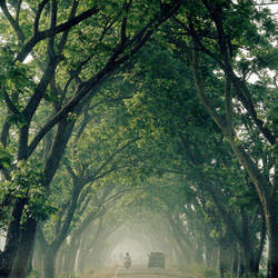 the green tunnel