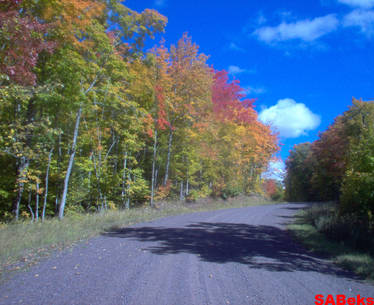 Fall Colors!