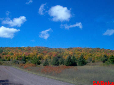 Hills of Fall Color!